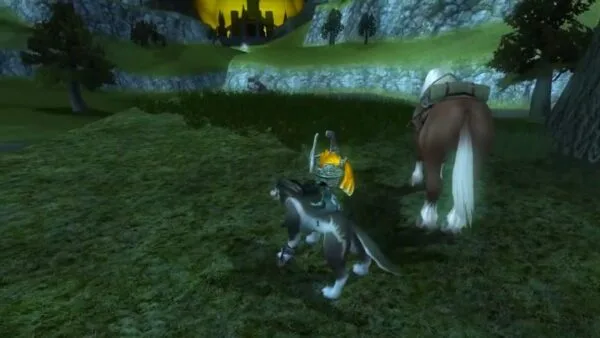 Twilight Princess Poe Soul - Entrada de Faron