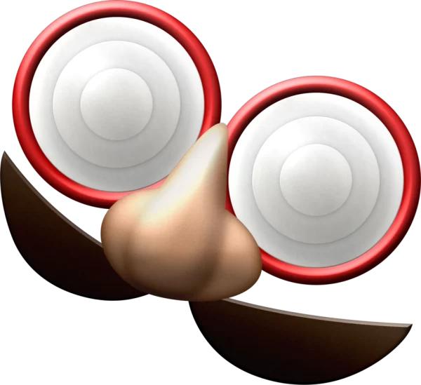 A Link Between Worlds Hint Glasses