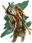 Link Artwork