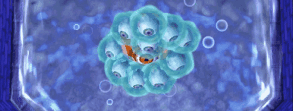 a fish swimming in a group of circles