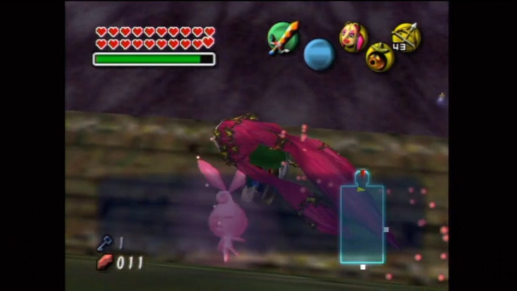 Majora's Mask Woodfall Stray Fairy Location Screen Shot