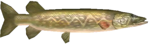 Pez lucio de Hylian de Twilight Princess