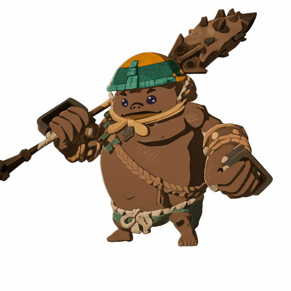 Braton, a playable character in Hyrule Warriors: Age of Imprisonment