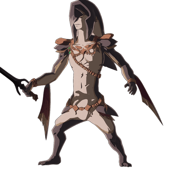 Lago, a playable character in Hyrule Warriors: Age of Imprisonment