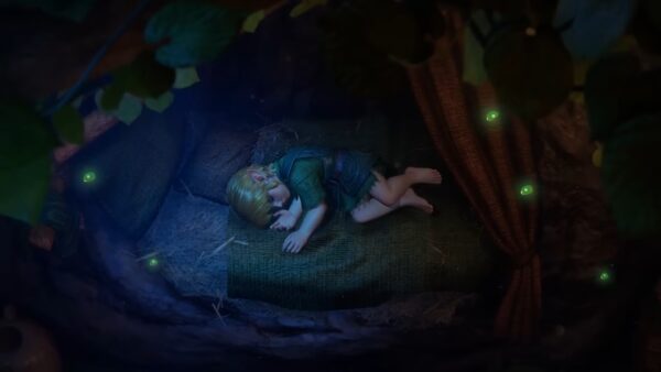 Link sleeping