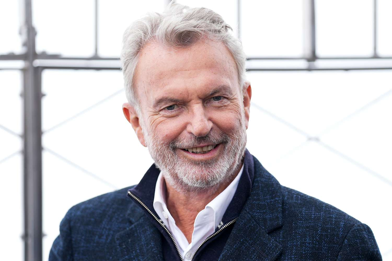 The Legend of Zelda Movie: Release Date, Cast, Story & Latest News 12 Sam Neill