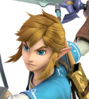 Link from The Legend of Zelda: Breath of the Wild Link from The Legend of Zelda: Breath of the Wild