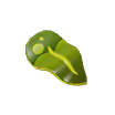 Bubble Kelp Bubble Kelp