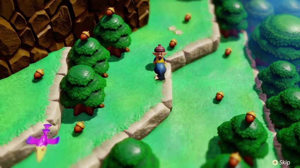 Der Eichelsammler wartet an einer von einer Hecke gesäumten Stelle. Hyrule Ein Feldweg, um den herum Eicheln verstreut lagen.