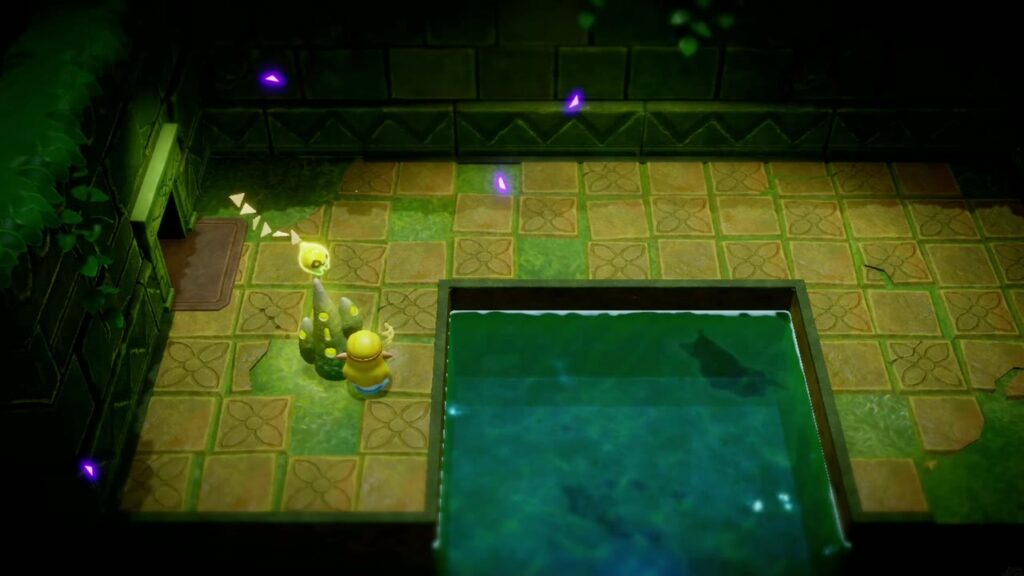 Faron Temple Dungeon - The Legend of Zelda: Echoes of Wisdom Walkthrough 1 Zelda touches the Waypoint statue beside the entrance pool to record Faron Temple's first warp point.