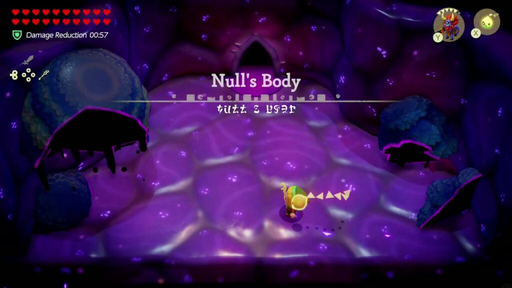 Null's Body: Final Dungeon - The Legend of Zelda: Echoes of Wisdom Walkthrough 4 Zelda arrives on the purple organic floor of Null's Body as the area title appears.