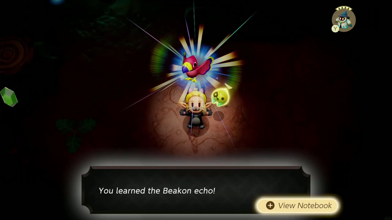 Zelda aprende o eco Beakon na caverna escura de cogumelos em Faron Wetlands Zelda aprende o eco Beakon na caverna escura de cogumelos em Faron Wetlands