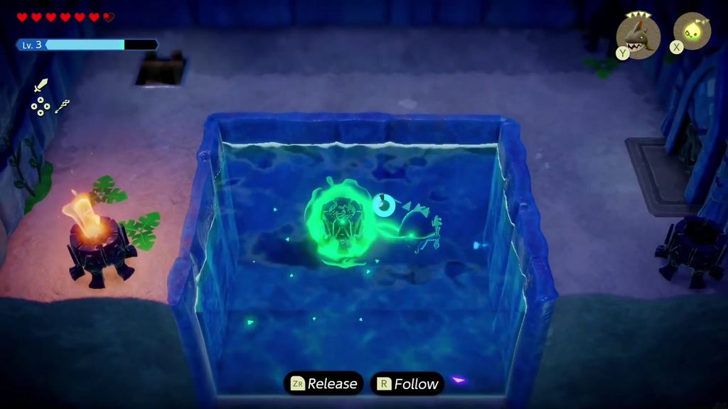 Zelda Binds the sunken torch underwater in the torch room's pool.