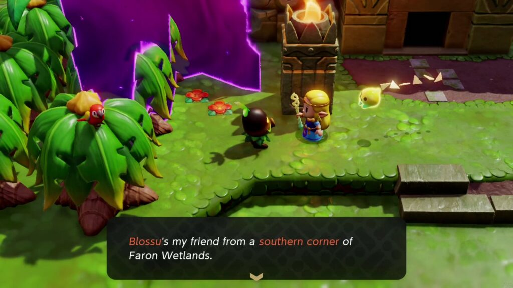 A Rift in the Faron Wetlands - The Legend of Zelda: Echoes of Wisdom Walkthrough 20 The Scrub says Blossu, the member, is a friend from a southern corner of Faron Wetlands.