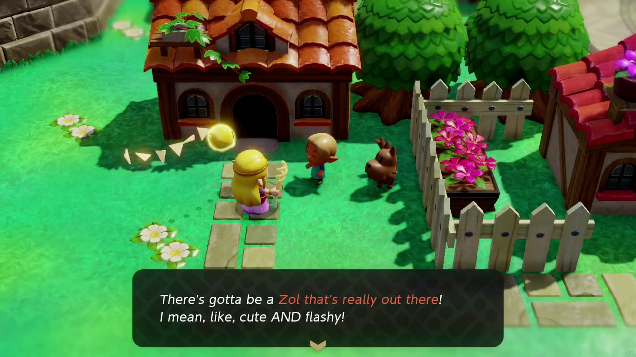 An Out-There Zol: the Castle Town boy asks Zelda for a Zol that is cute and flashy. An Out-There Zol: the Castle Town boy asks Zelda for a Zol that is cute and flashy.