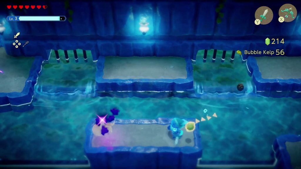 Zelda defeats an Octorok in the flooded hall and the counter shows Bubble Kelp collected.
