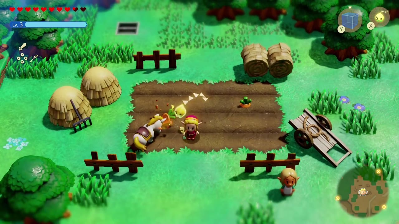 Zelda com o cavalo do rancho na plantação de cenouras a noroeste de Hyrule Castelo Zelda com o cavalo do rancho na plantação de cenouras a noroeste de Hyrule Castelo