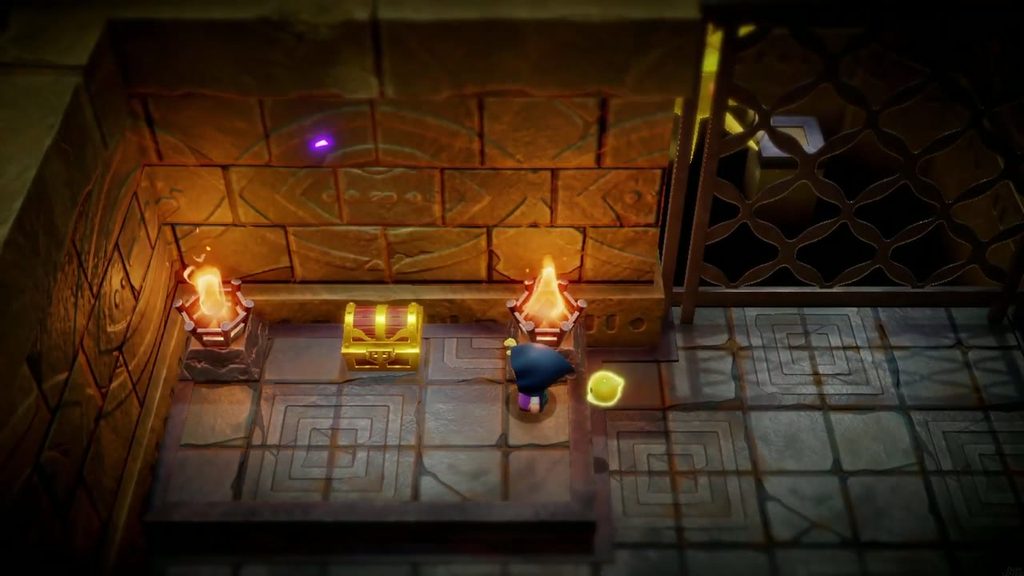A chest appears between the braziers once the fenced Deku Baba in Suthorn Ruins is defeated