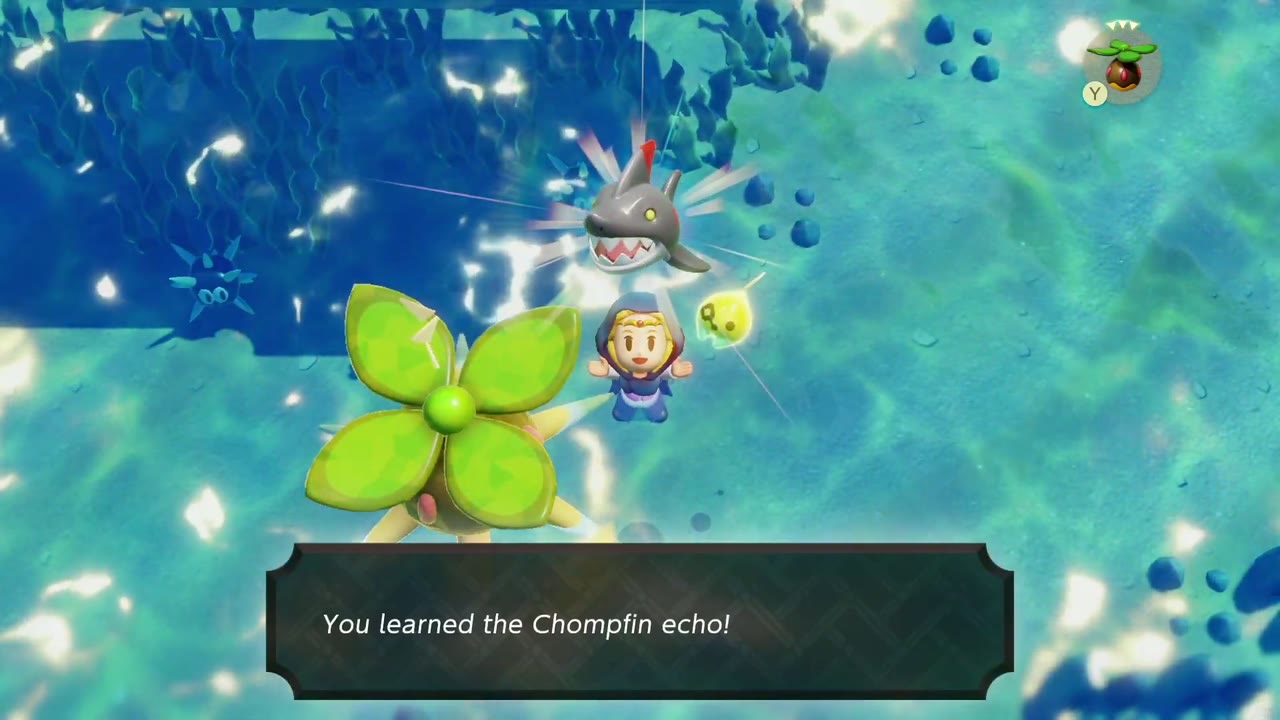 Zelda aprende o eco do Chompfin enquanto nada no Zora Mar da enseada perto do navio naufragado Zelda aprende o eco do Chompfin enquanto nada no Zora Mar da enseada perto do navio naufragado