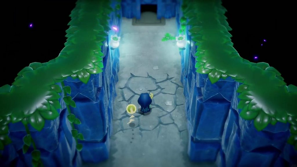 Zelda walks north up the entrance corridor onto the cracked floor that is about to give way.