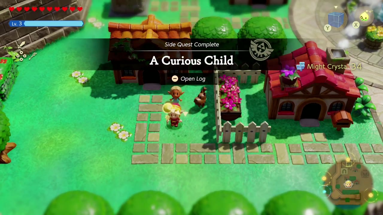 The Side Quest Complete banner for A Curious Child in Hyrule Castle Town. The Side Quest Complete banner for A Curious Child in Hyrule Castle Town.