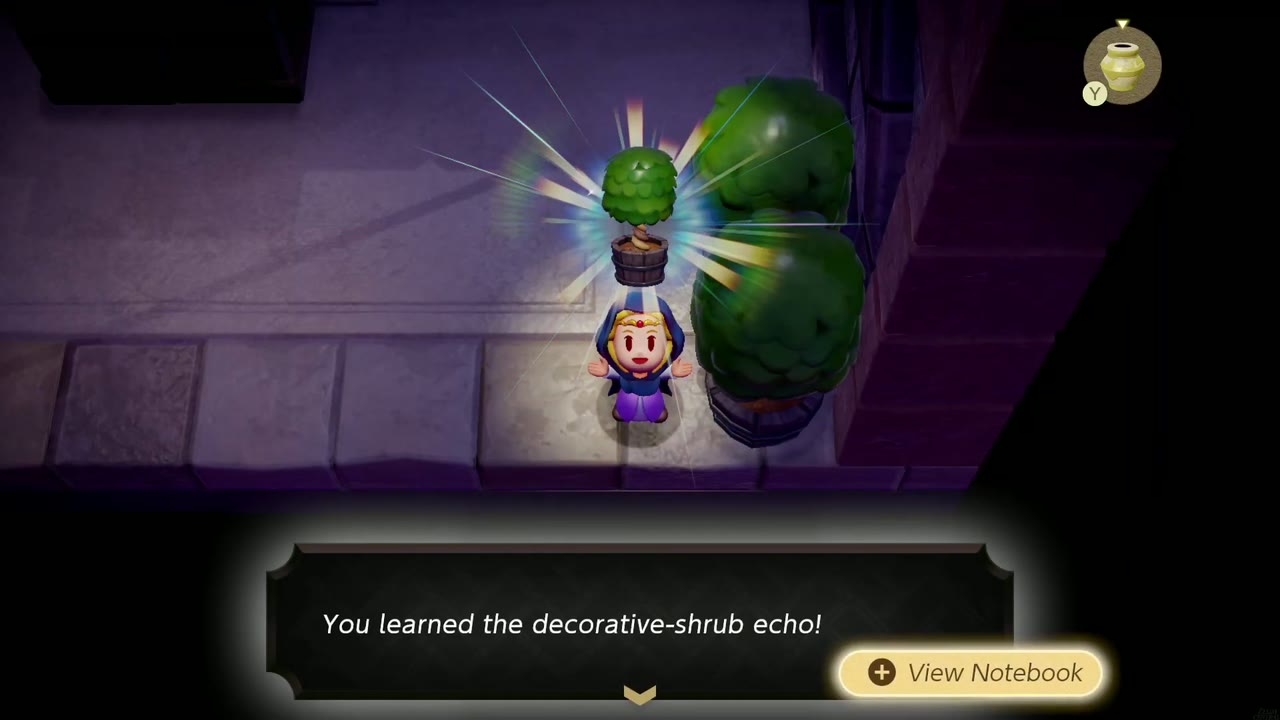 Zelda encapuzada aprende o eco do Arbusto Decorativo em um Hyrule corredor da masmorra do castelo Zelda encapuzada aprende o eco do Arbusto Decorativo em um Hyrule corredor da masmorra do castelo