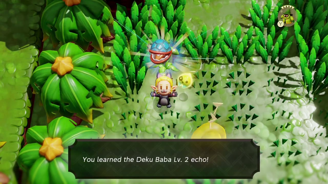 Zelda aprende o Deku Baba Lv. 2 ecoa na grama alta nos pântanos orientais de Faron. Zelda aprende o Deku Baba Lv. 2 ecoa na grama alta nos pântanos orientais de Faron.