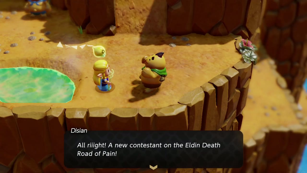Disian challenges Zelda to his Eldin Death Road of Pain glide course. Disian challenges Zelda to his Eldin Death Road of Pain glide course.