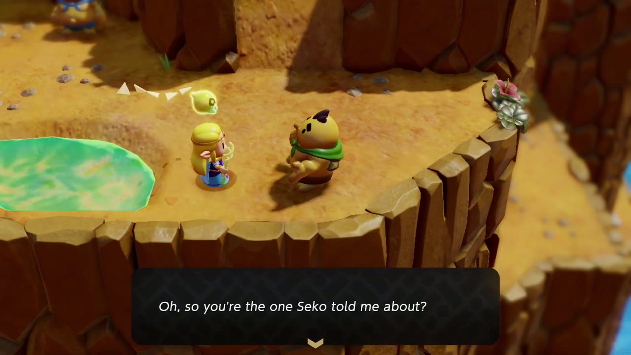 Disian arrives on the clifftop and greets Zelda. Disian arrives on the clifftop and greets Zelda.