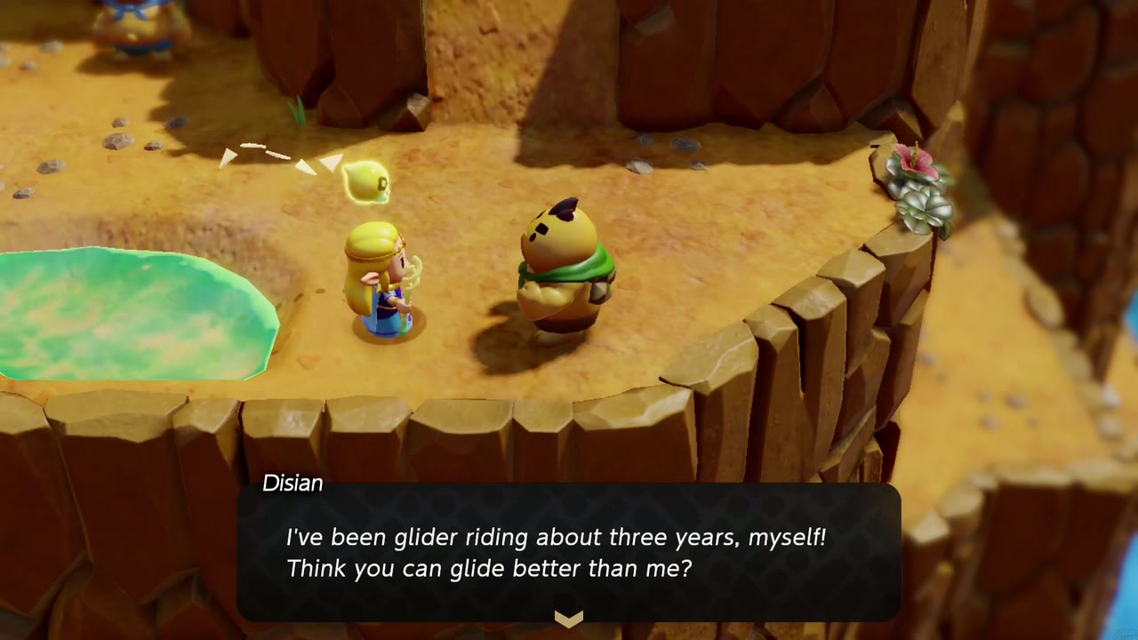 Disian says he has been glider riding for about three years. Disian says he has been glider riding for about three years.