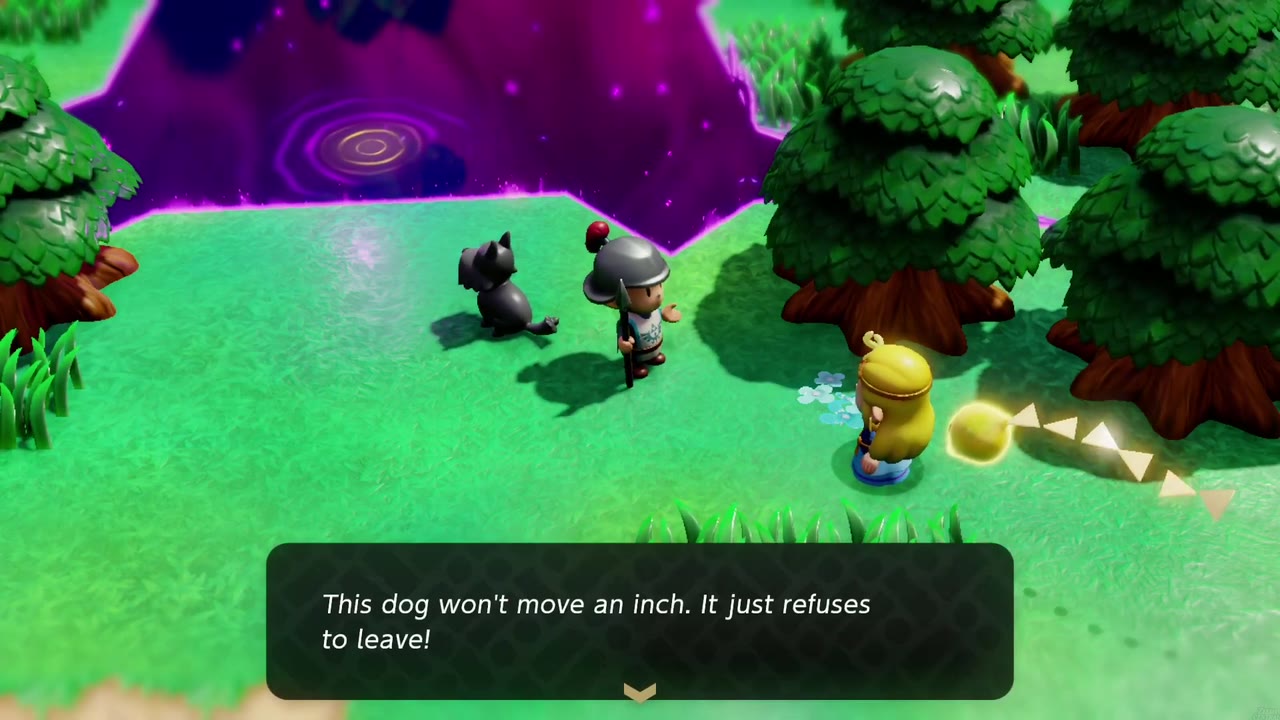Romi's black dog refuses to leave the edge of the new rift in southern Hyrule Field. Romi's black dog refuses to leave the edge of the new rift in southern Hyrule Field.