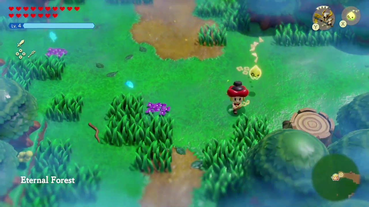 The Eternal Forest - The Legend of Zelda: Echoes of Wisdom Walkthrough 14 The Eternal Forest title card appears as Zelda enters the blue-tinted woods.