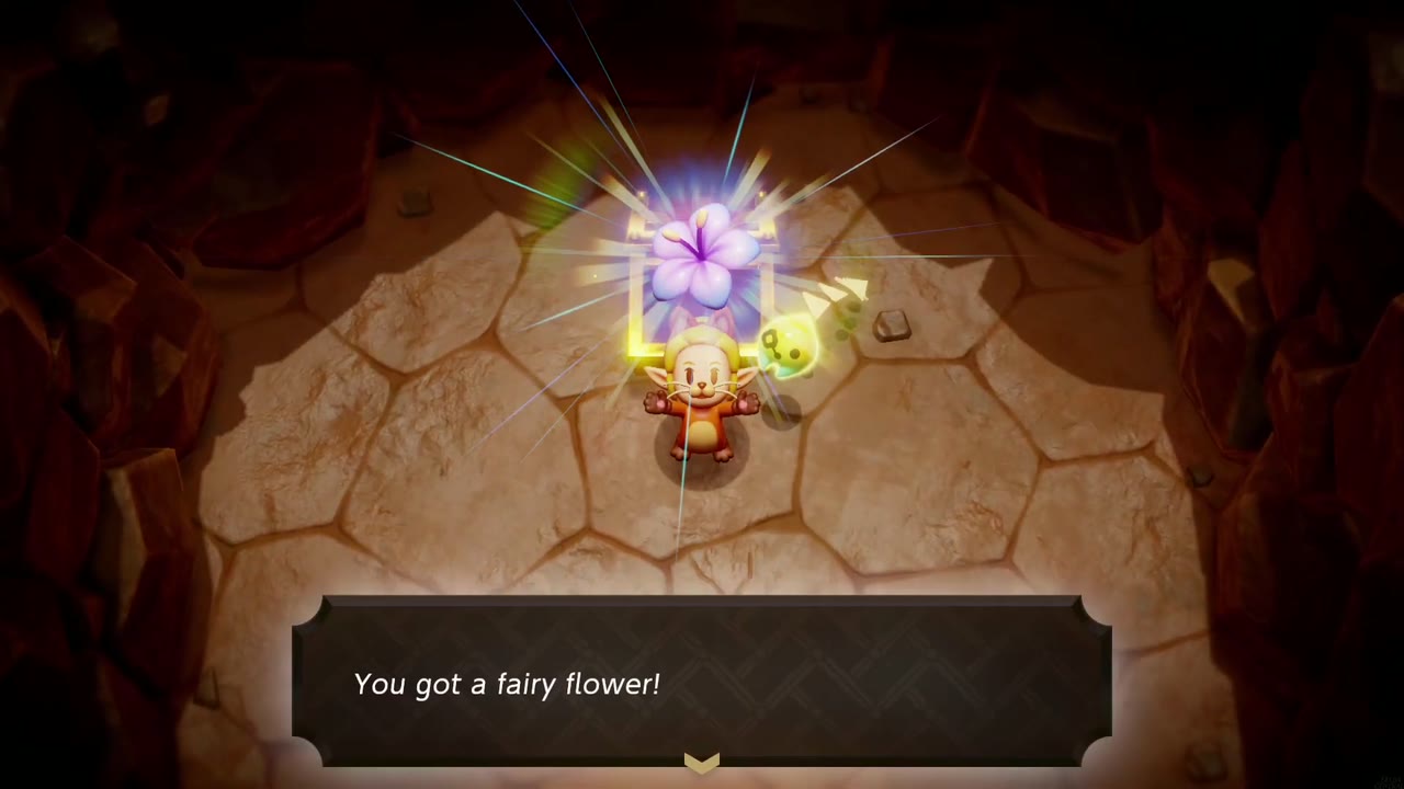 Zelda holds up the purple Fairy Flower from a chest in a small cave off the Eldin Volcano Trail Zelda holds up the purple Fairy Flower from a chest in a small cave off the Eldin Volcano Trail