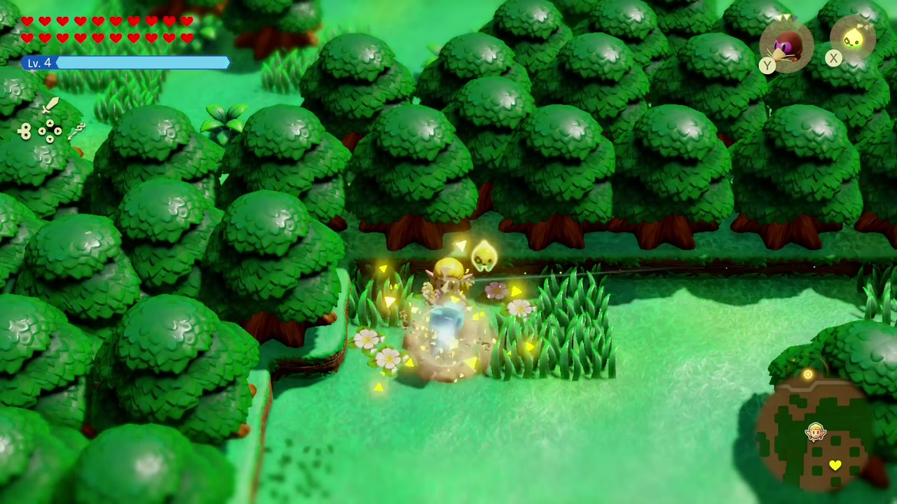 O eco de um fogo de artifício explode num canto arborizado de Hyrule Campo, rompendo um obstáculo O eco de um fogo de artifício explode num canto arborizado de Hyrule Campo, rompendo um obstáculo