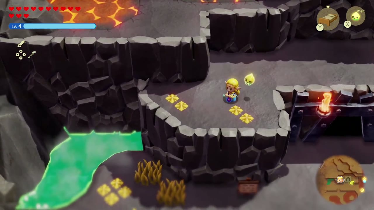 Zelda reaches a ledge on Eldin Volcano carpeted with golden flowers beside a pool Zelda reaches a ledge on Eldin Volcano carpeted with golden flowers beside a pool