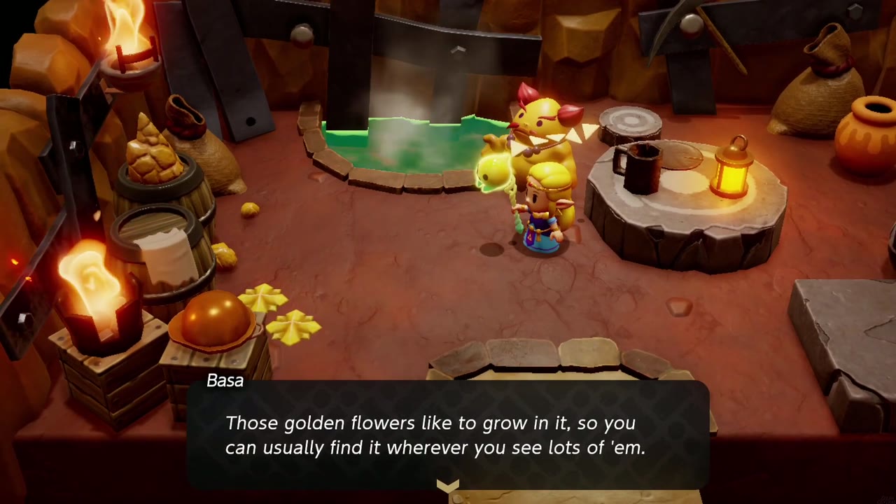 The Fireworks Artist - The Legend of Zelda: Echoes of Wisdom Walkthrough 4 Basa explains that blastpowder soil is found wherever lots of golden flowers grow.