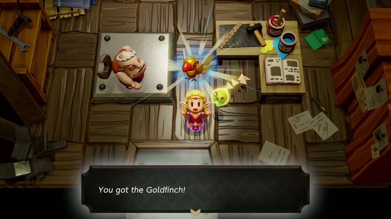 Get Rich Quick! - The Legend of Zelda: Echoes of Wisdom Walkthrough 22 Zelda holds up the Goldfinch, the reward for Get Rich Quick!