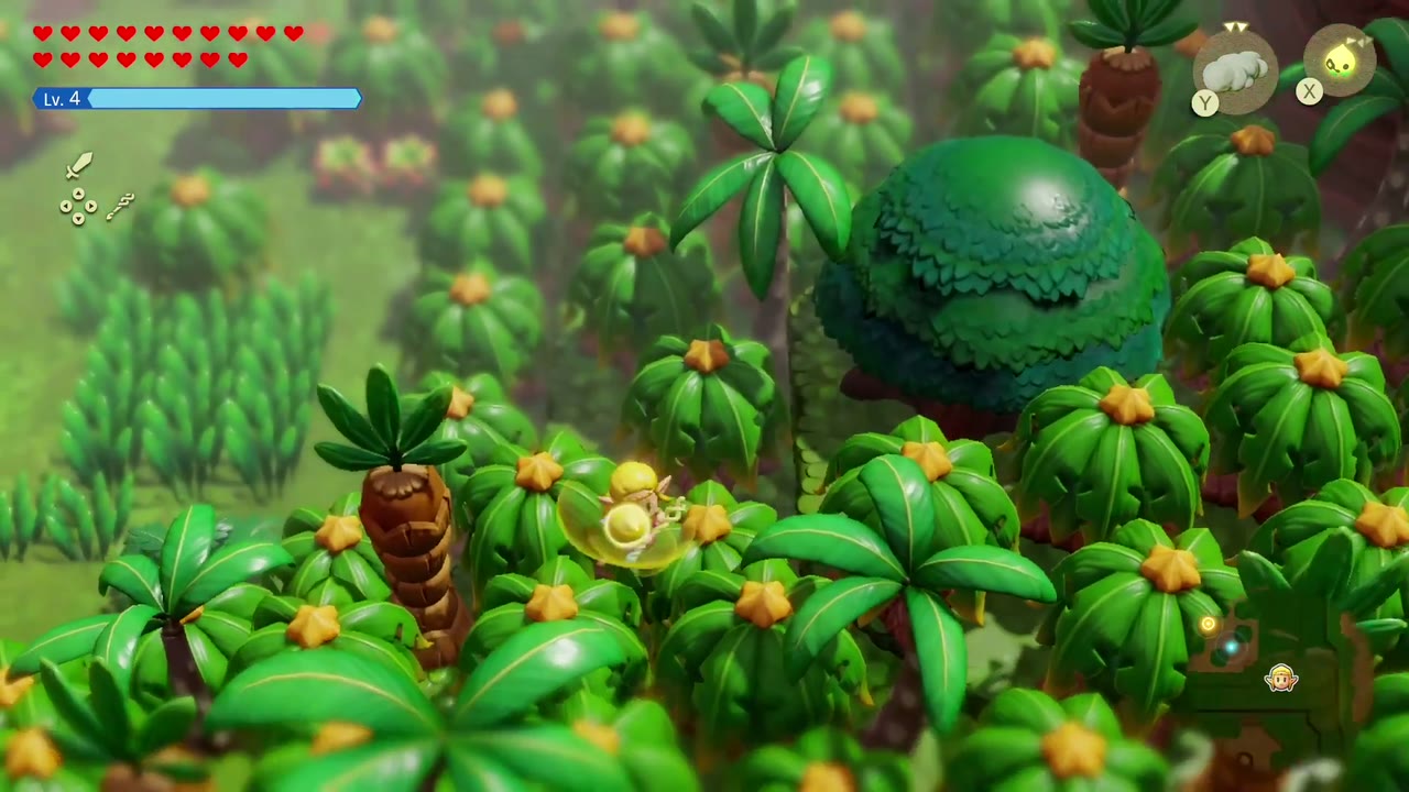 Past the gully, Zelda walks into a grassy clearing ringed with thick palm shrubs. Past the gully, Zelda walks into a grassy clearing ringed with thick palm shrubs.