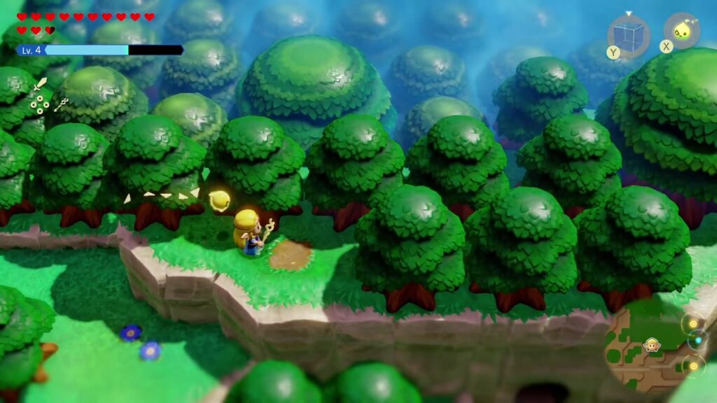 Zelda geht auf den grasbewachsenen Felsvorsprung am Fuße des dichten Waldes direkt außerhalb des Dorfes Kakariko.