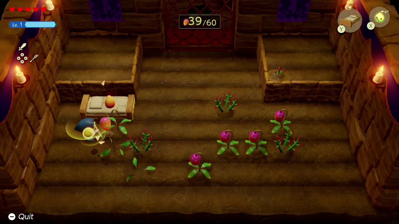 Get Rich Quick! - The Legend of Zelda: Echoes of Wisdom Walkthrough 14 Zelda harvests thorny mango plants in the Mango Rush field.