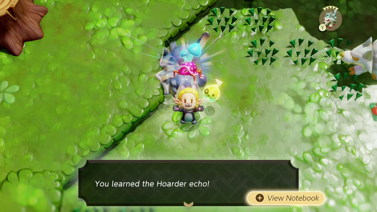 Zelda aprende o eco do Acumulador em uma clareira gramada no norte dos Pântanos de Faron. Zelda aprende o eco do Acumulador em uma clareira gramada no norte dos Pântanos de Faron.