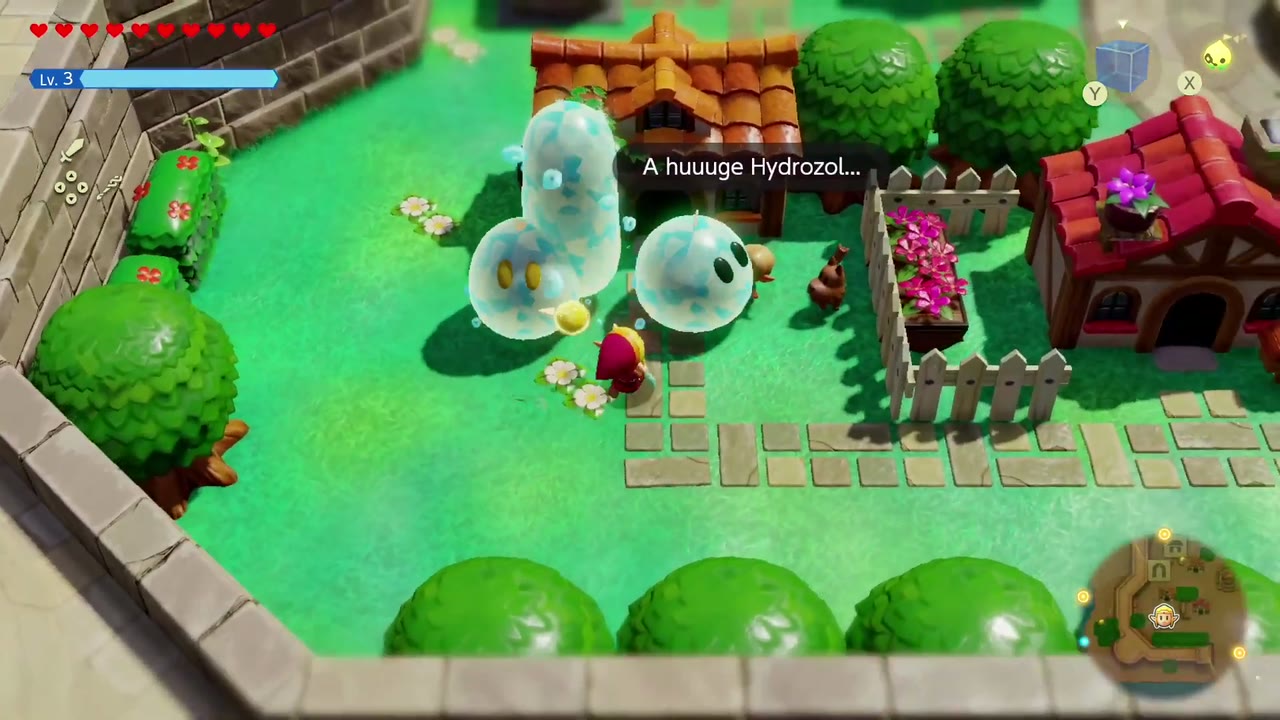 Hydrozol echoes swell up with water beside the child's garden in Hyrule Castle Town. Hydrozol echoes swell up with water beside the child's garden in Hyrule Castle Town.