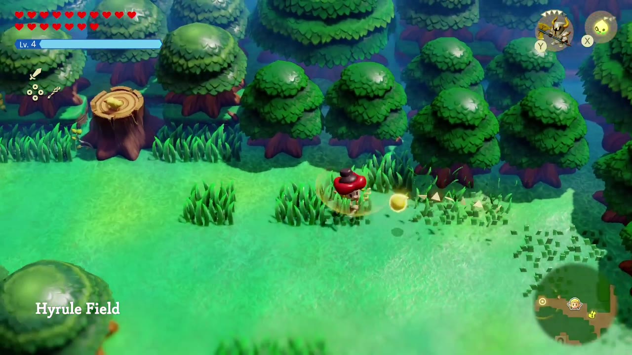 The Eternal Forest - The Legend of Zelda: Echoes of Wisdom Walkthrough 12 Zelda arrives at the Hyrule Field Waypoint at the eastern edge of the Eternal Forest.