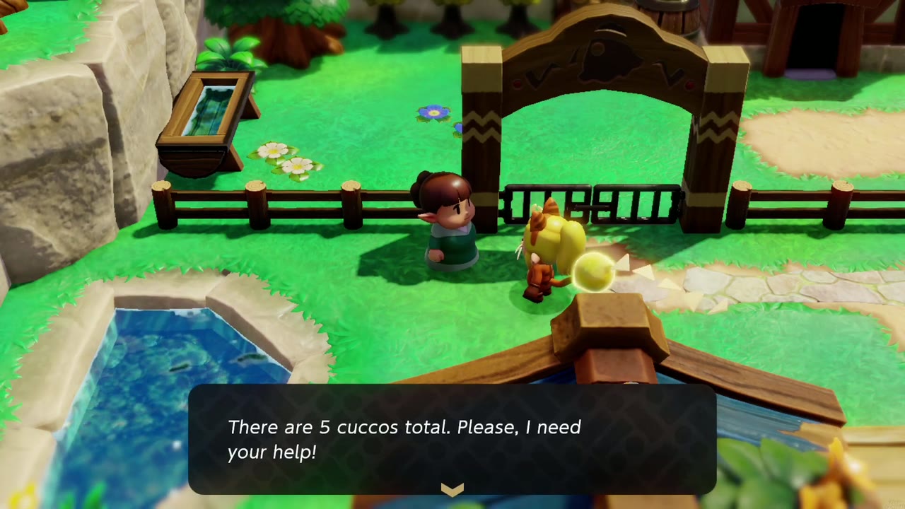 Cuccos on the Loose: the Kakariko woman at her pen asks Zelda to bring back her five runaway cuccos. Cuccos on the Loose: the Kakariko woman at her pen asks Zelda to bring back her five runaway cuccos.