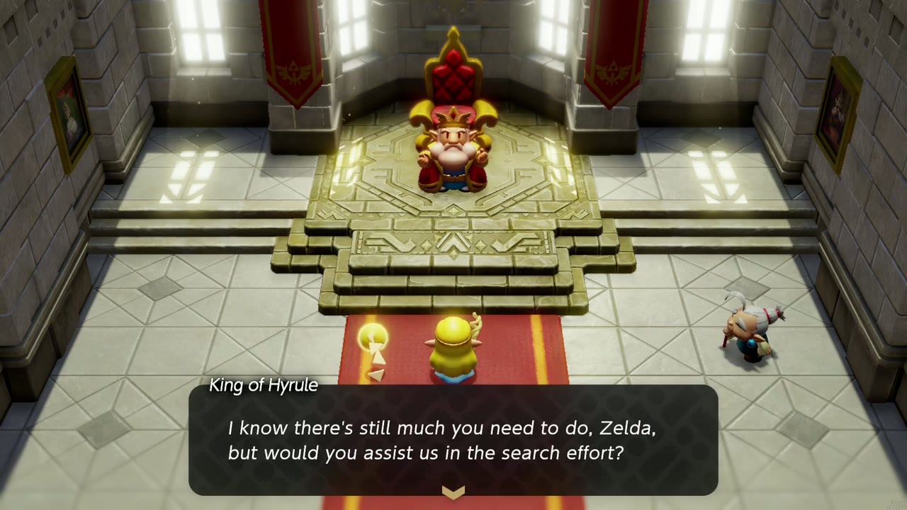 The King asks Zelda whether she would assist in the search effort. The King asks Zelda whether she would assist in the search effort.