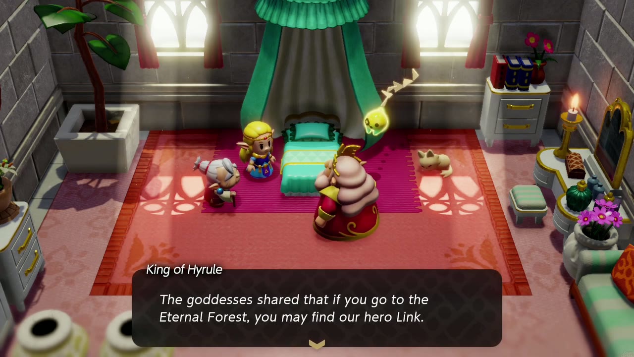 The Eternal Forest - The Legend of Zelda: Echoes of Wisdom Walkthrough 11 The King says the goddesses told him Link may be found in the Eternal Forest.