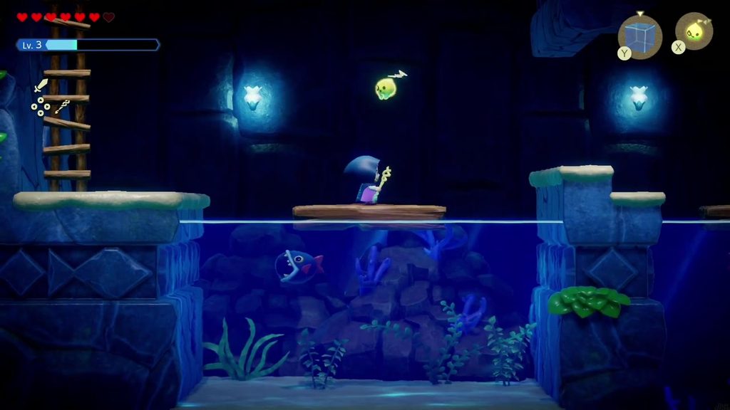 Zelda lands on a floating platform in the side-scroll water room below the switch room.