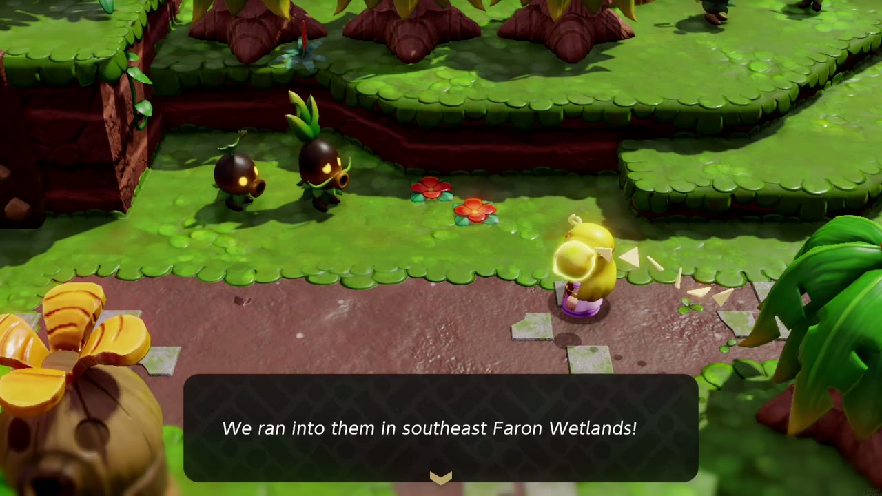 Leafy Deku Scrubs near Scrubton say a Mothula swarm attacked them in southeast Faron Wetlands. Leafy Deku Scrubs near Scrubton say a Mothula swarm attacked them in southeast Faron Wetlands.