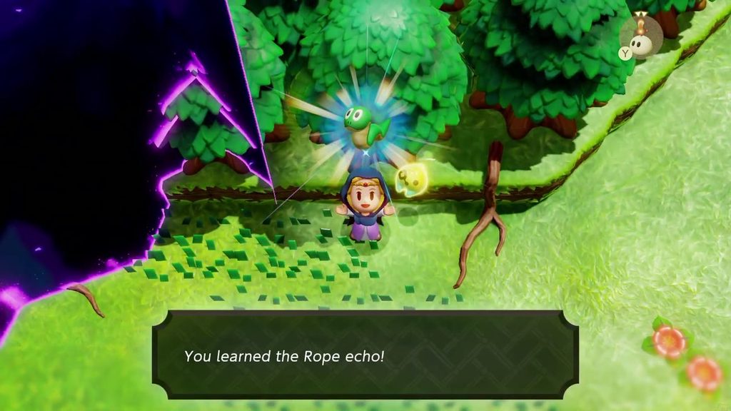 The Mysterious Rifts in Suthorn Forest - The Legend of Zelda: Echoes of Wisdom Walkthrough 59 Zelda learns the Rope echo beside a rift in Suthorn Forest