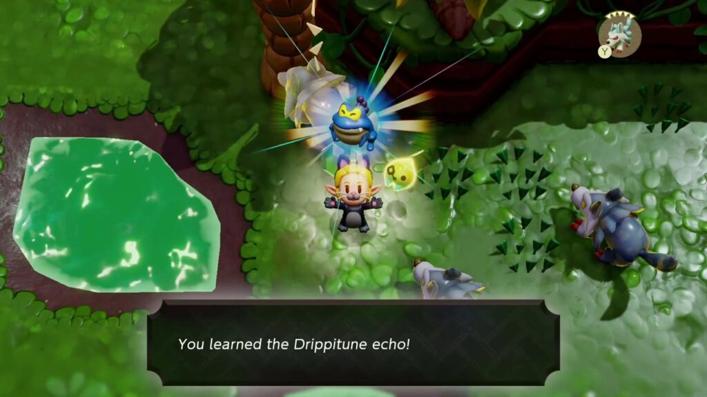 A Rift in the Faron Wetlands - The Legend of Zelda: Echoes of Wisdom Walkthrough 4 "You learned the Drippitune echo!" after Zelda beats one of the frog monsters by the ponds.
